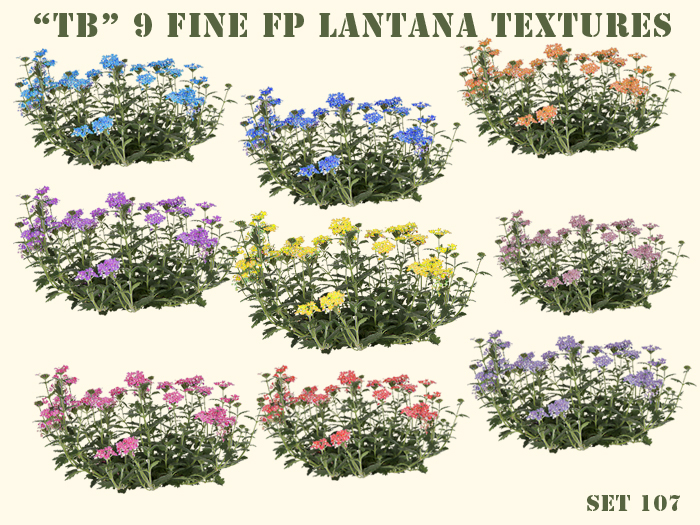 Twice Baked 9 gorgeous FP Lantana textures with 3D effect set 107