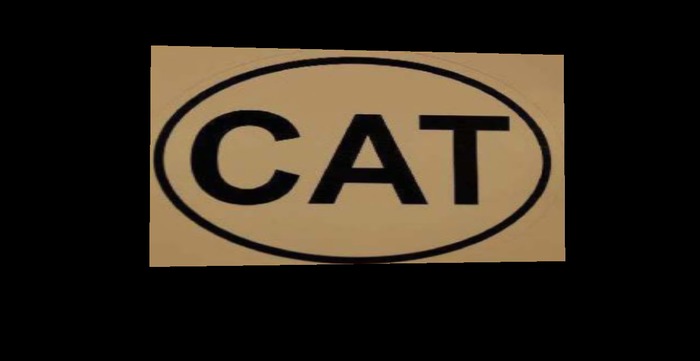 Cat welcome door mat 2