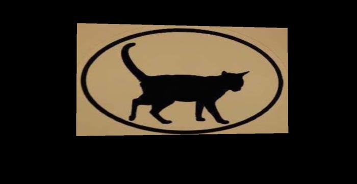 Cat welcome door mat 4