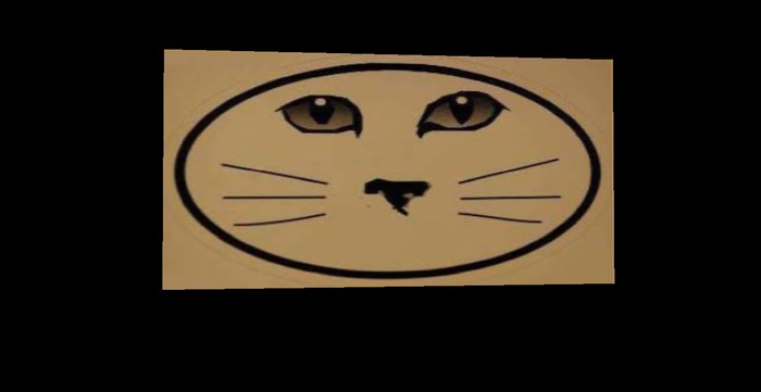 Cat welcome door mat 3