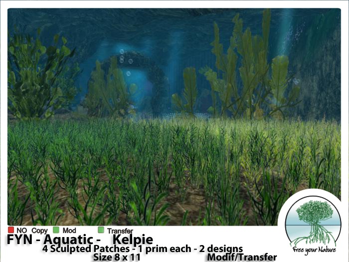 FYN Aquatic  - KELPIE -