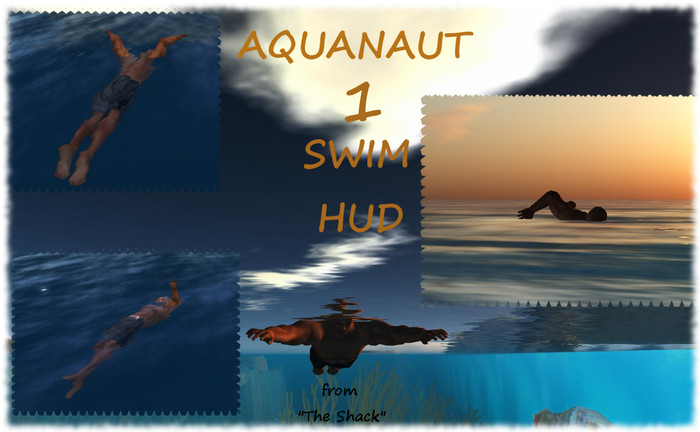 Aquanaut 3 Swim Hud