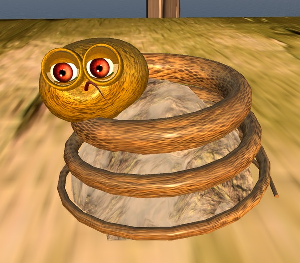 snake and a rock 