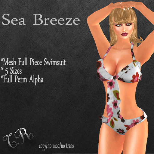 Sea Breeze Mesh_Swimwear 