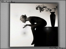 Real Art - Shadows 791