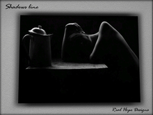 Real Art - Shadows 791