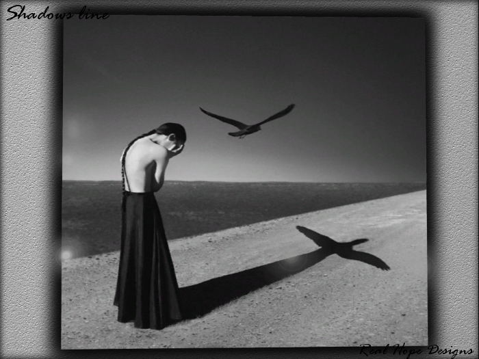 Real Art - Shadows 397