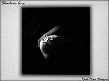 Real Art - Shadows 791