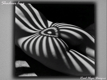Real Art - Shadows 528