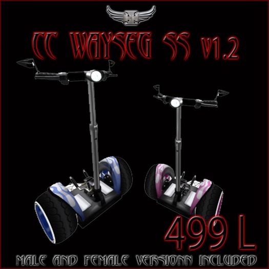 CC Wayseg SS