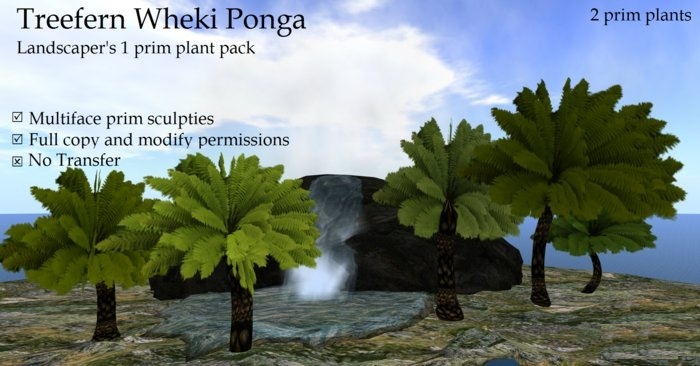 Treeferns Wheki Ponga By Ged 
