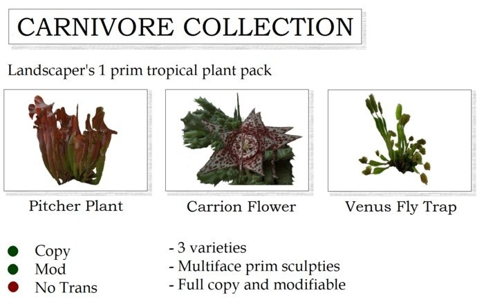 CARNIVORE TROPICAL PLANT COLLECTION By Ged 