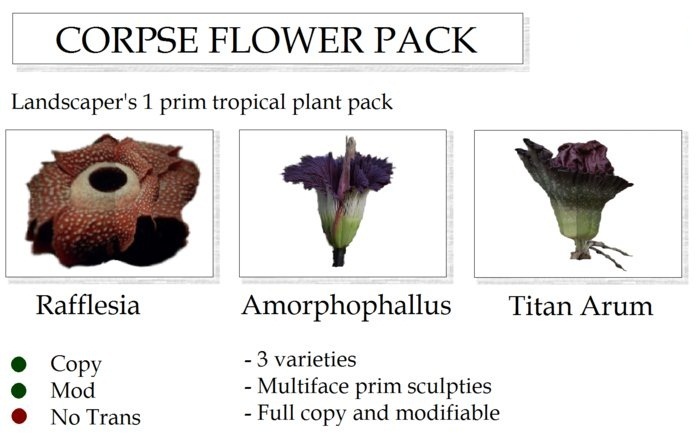 CORPSE TROPICAL PLANT COLLECTION By Ged 