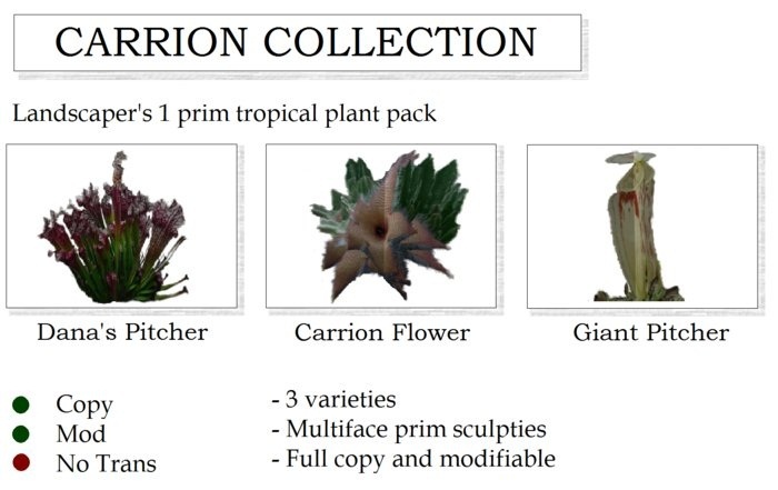 CARRION TROPICAL PLANT COLLECTION By Ged 