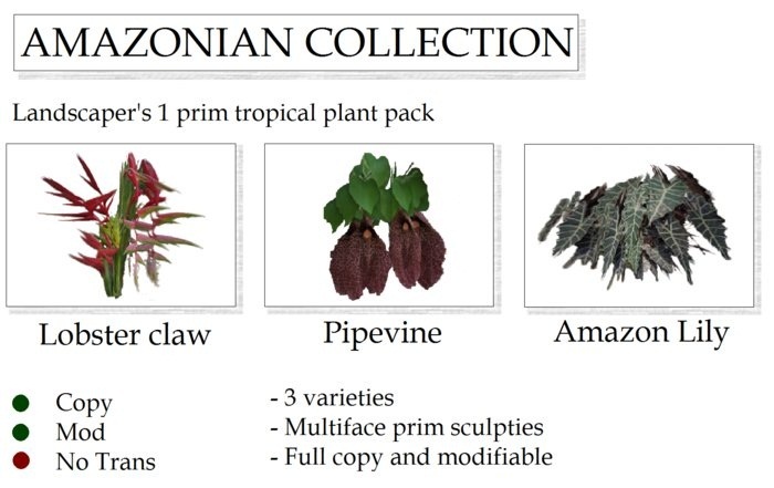 AMAZONIAN TROPICAL PLANT COLLECTION By Ged 