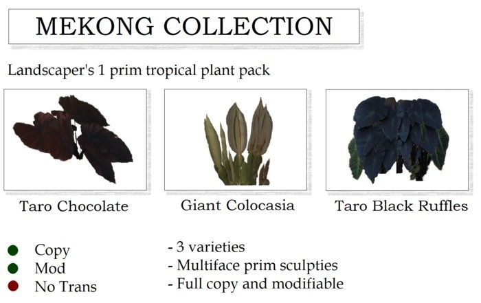 MEKONG TROPICAL PLANT COLLECTION By Ged 