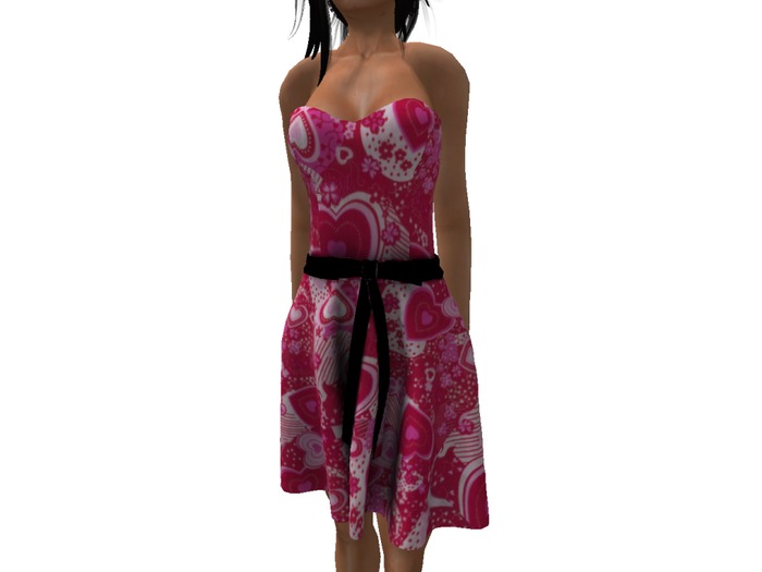 Mesh Valentine Zest Dress