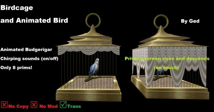 Birdcage (Budgerigar Brass Desk)