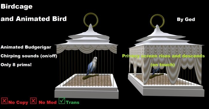 Birdcage (Budgerigar White Desk)