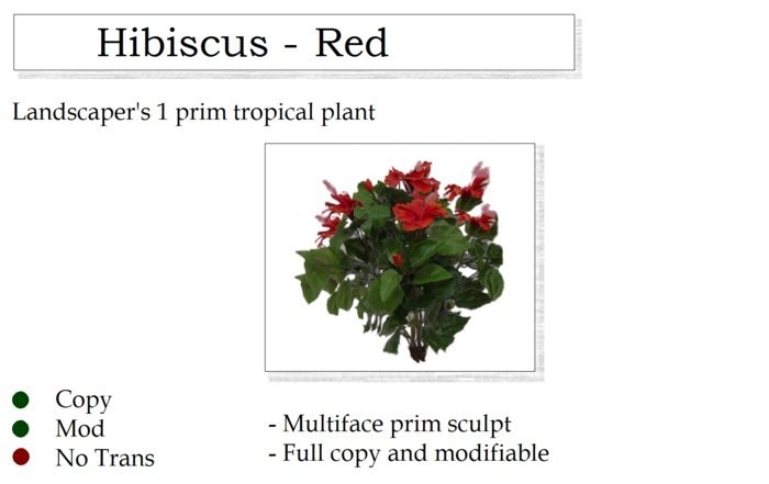 Hibiscus Plant Red By Ged 