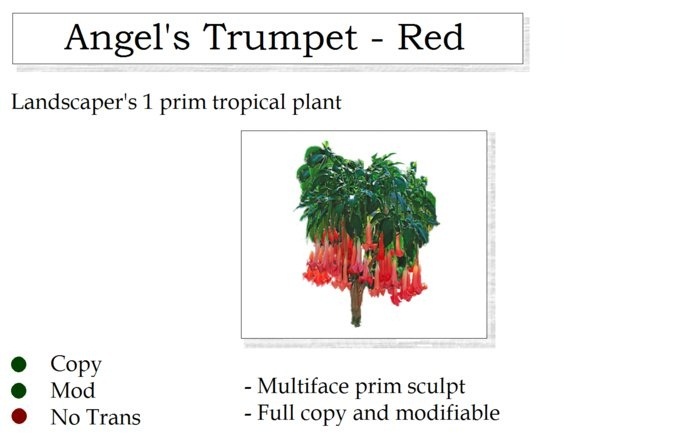 Angel's Trumpet Plant Red By Ged 