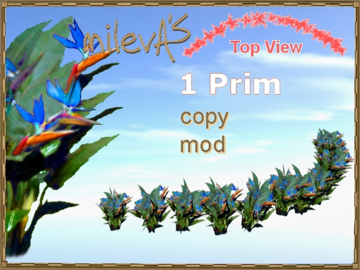 milevA's 1-Prim Multi 16 Curve Bird of Paradise B