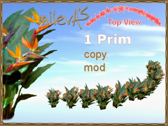 milevA's 1-Prim Multi 16 Curve Bird of Paradise C