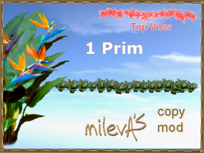 milevA's 1-Prim Multi 16 Line Bird of Paradise A
