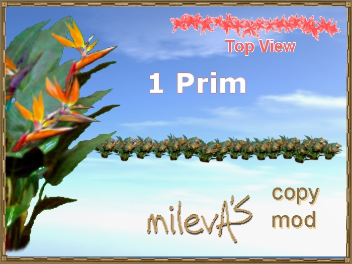 milevA's 1-Prim Multi 16 Line Bird of Paradise C