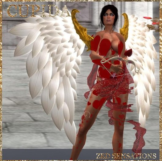 599 Zed Sensations*.Cupida