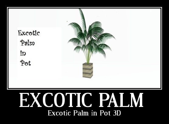 Excotic Palm in Pot  3D