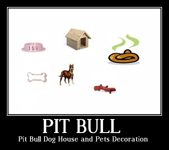 House pet / pit bull  -