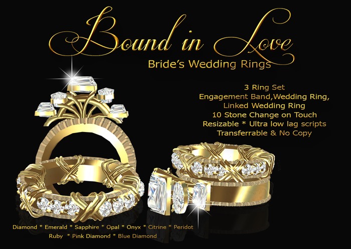 Exquisite Bound in Love Bride's Rings Gold