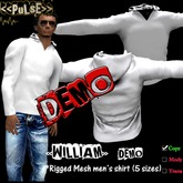 <<PuLsE>> "WILLIAM" Rigged Mesh Men's Shirt - DEMO