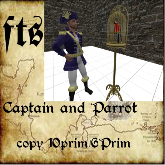 captain and parrot
