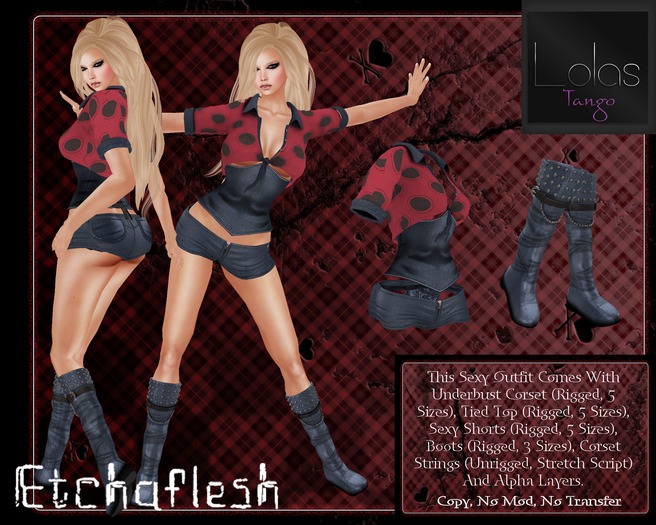 [Etchaflesh] Ladybug Corset Outfit With Tango Appliers!