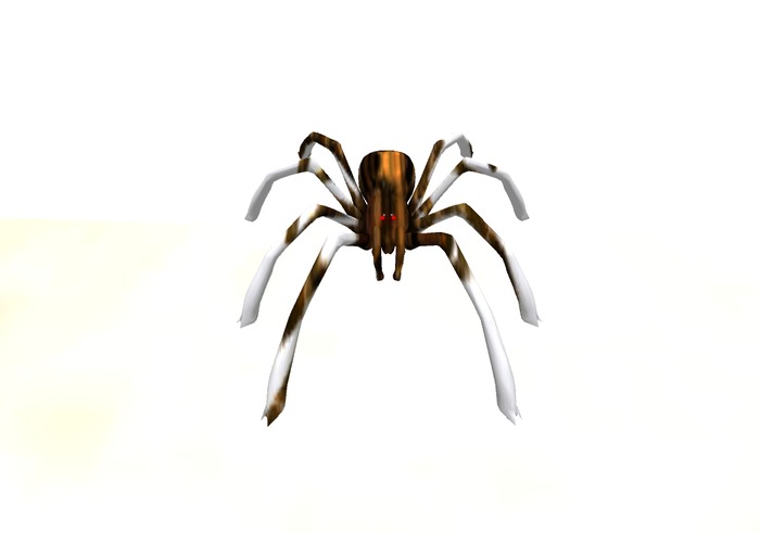 Spider Mesh  Full Perm