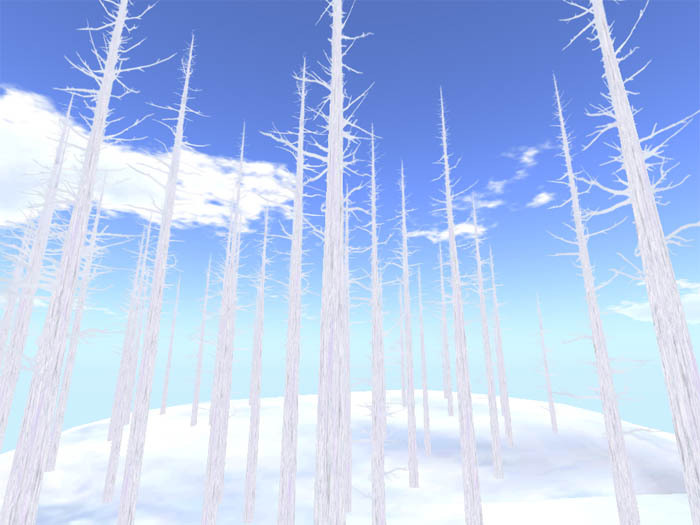 needle-leaf forest only trunk_white