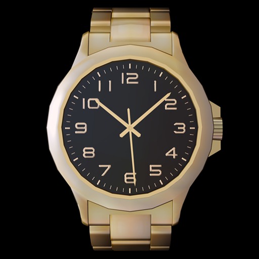 Mesh Watch for Men MWN1