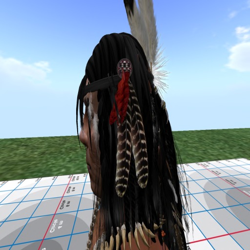 turkey feather headdress2 2