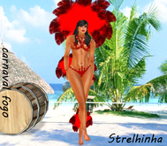 vendor carnaval fogo