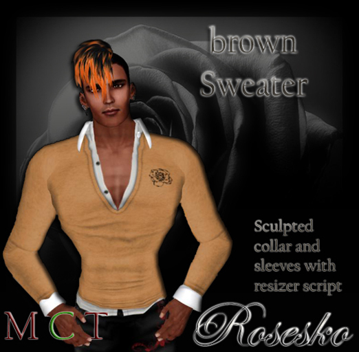 .:Rosesko:. brown Sweater