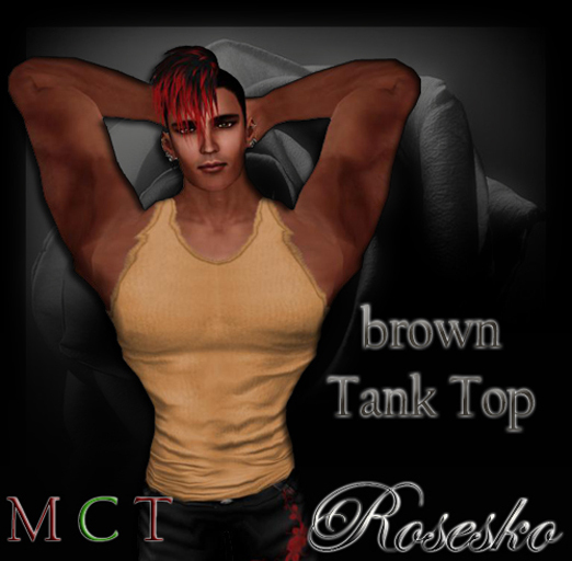 .:Rosesko:. Brown Tank Top