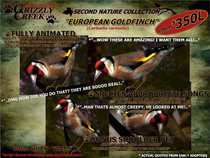 Grizzly Creek Songbird European Goldfinch -Rez or Wear-