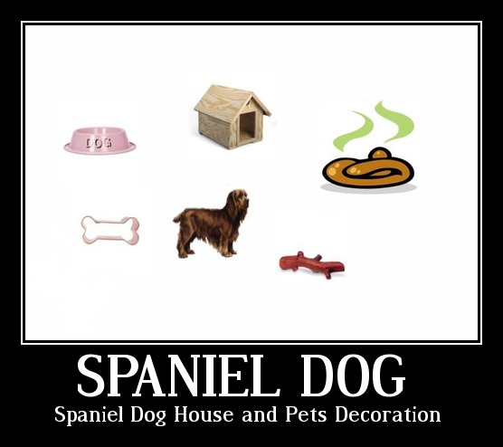 House pet / spaniel -