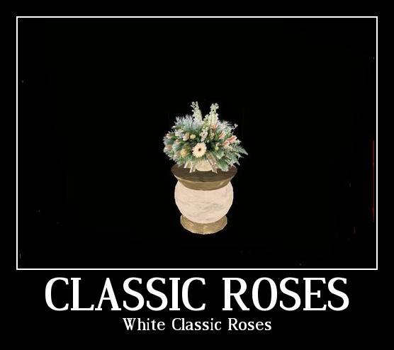 White Classic Roses in white Vase  tagfantasy -
