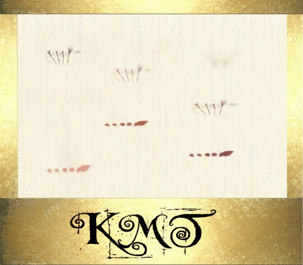 .:::K,M,T:::.Skin Creators Pack Toenail Folds & Tips StarterZ 