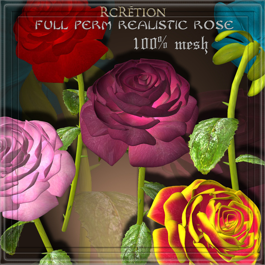 FULL PERM  ROSE ***Mesh***
