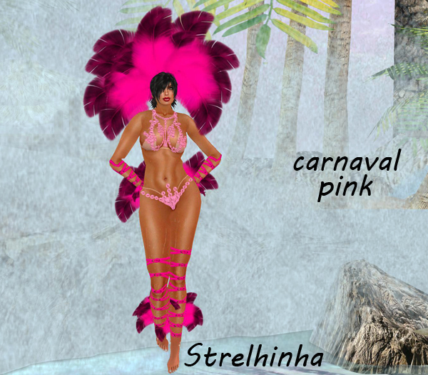 vendor carnaval pink
