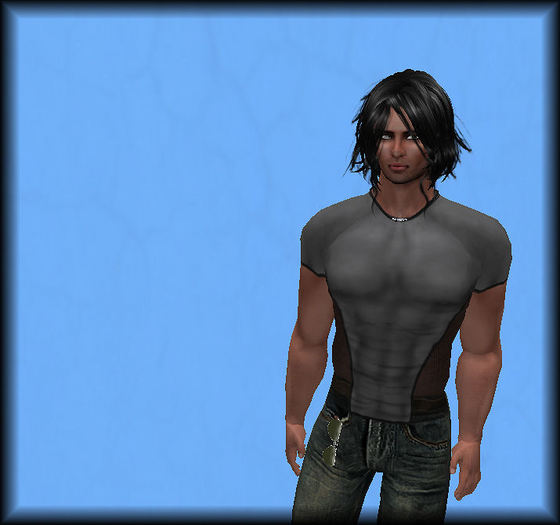 Shirt Adam grey